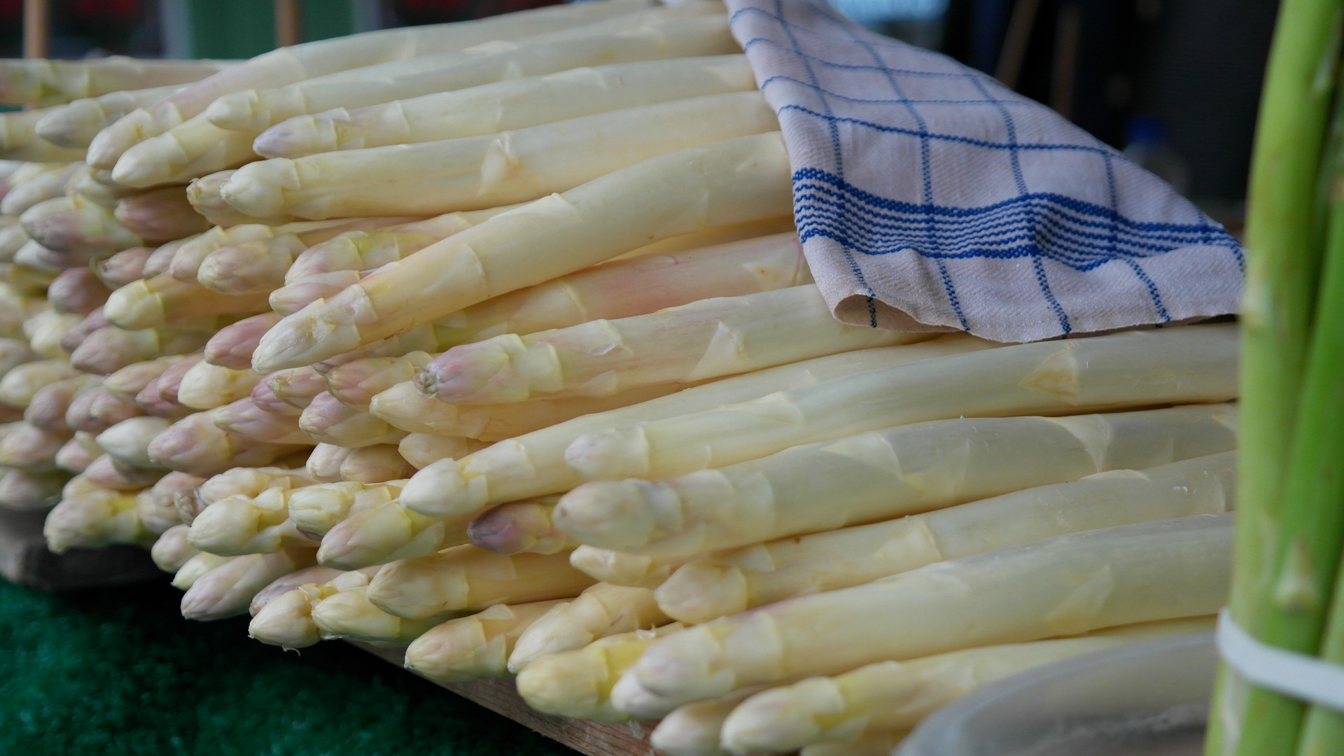 Spargel